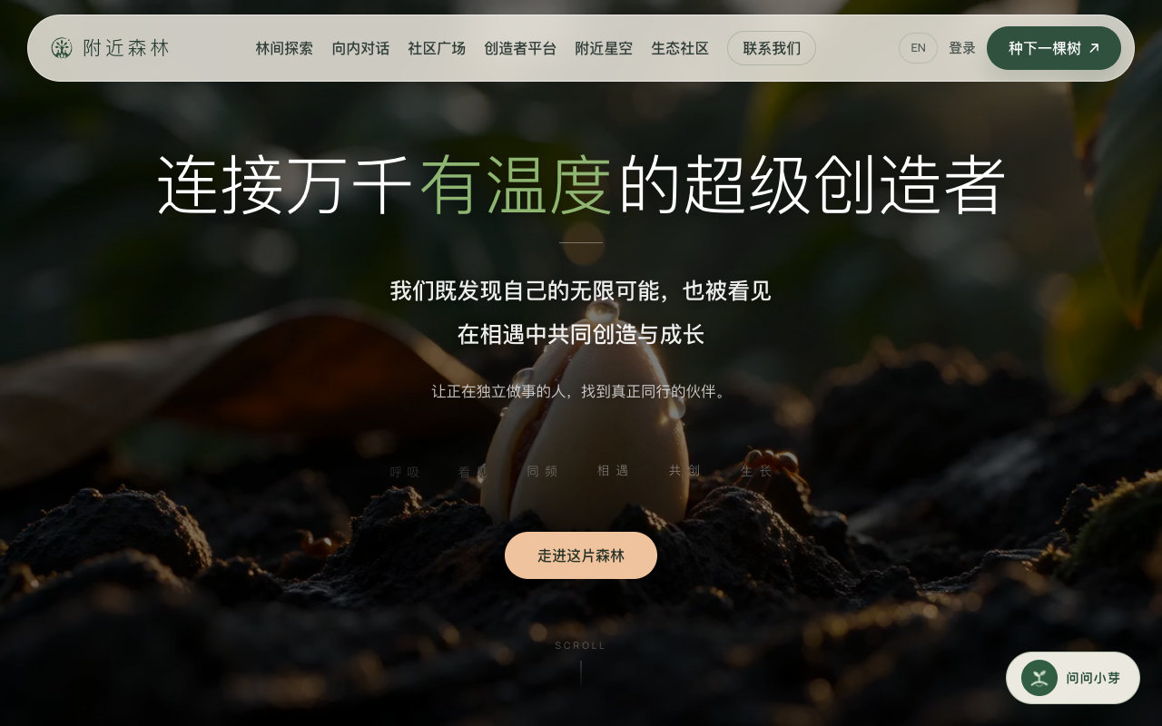 附近森林首屏